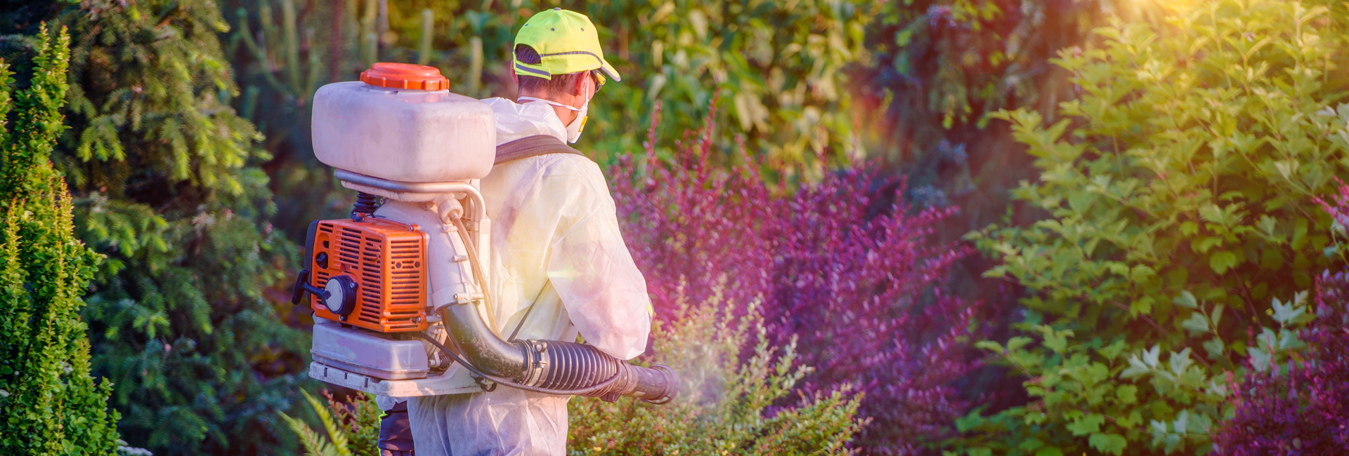 Pest Control Worker Hand Holding Sprayer